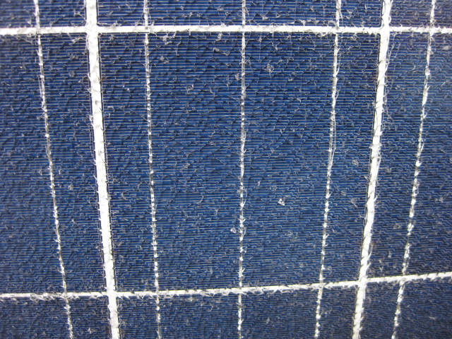 Close-up of the damage caused by a tree falling on a solar panel, shattering the tempered glass.