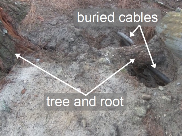 The root that the lightning current travelled on and the buried cables of the damaged solar system.