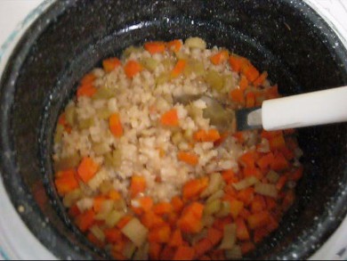 The solar cooked soya rice vegetable concoction cooked in
      winter snow.