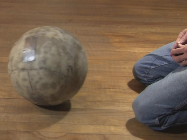 Remote controlling BB-8's fiberglass ball.