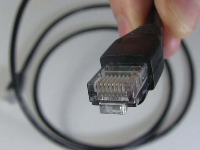 Male RJ45 connector close up.