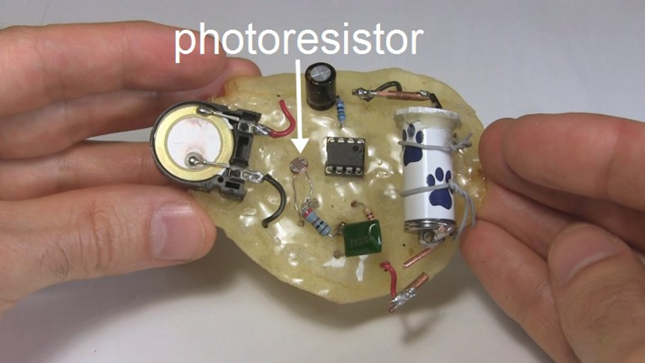 The photoresistor on the potato chip.