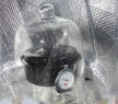 Car sunshade solar cooker being used to 
      cook the gluten-free pumpkin sourdough bread/cake.