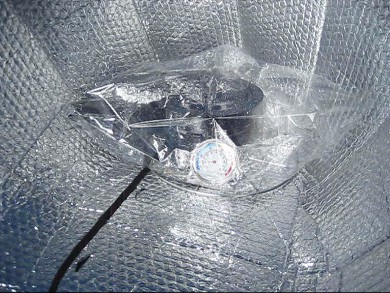 Oven bag (or turkey bag) with black pot in it in car shade solar cooker.