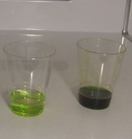 Dilute chlorophyll and alcohol on the left and non-dilute on
      the right.