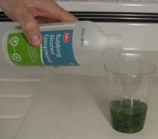 Pouring rubbing alcohol into the spinach for making chlorophyll.