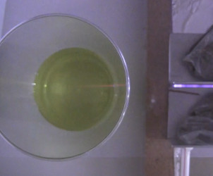 The red fluorescing TEA laser beam in chlorophyll.